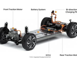 PLATAFORMA EV GMP  1 (11)